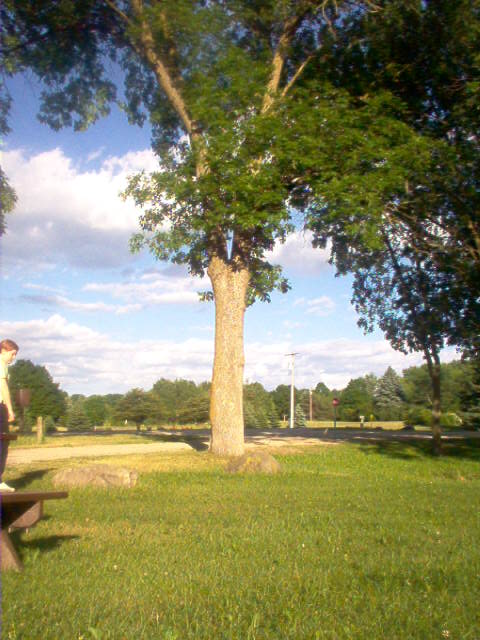 Saukville, WI: at a park