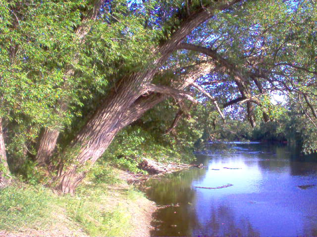 Saukville, WI: Milwaukee River at the park