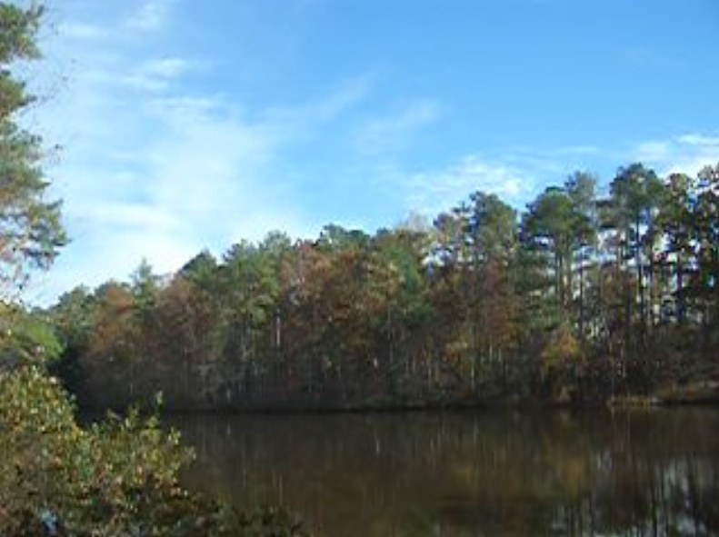 Fuquay-Varina, NC: Picture taken at a lake in Fuquay-Varina, North Carolina