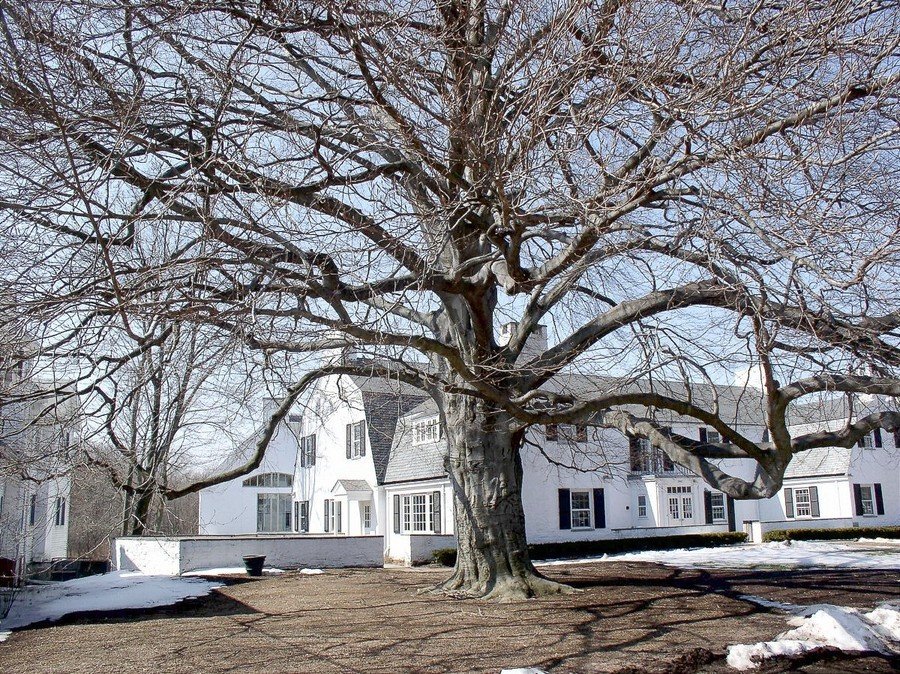 Glastonbury, CT: GLASTONBURY, CT - WELLES/TURNER MEMORIAL LIBRARY