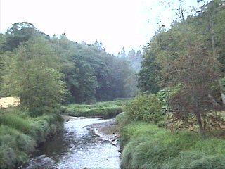 Port Orchard, WA: Black Jack Creek next to KFC 6/1/04