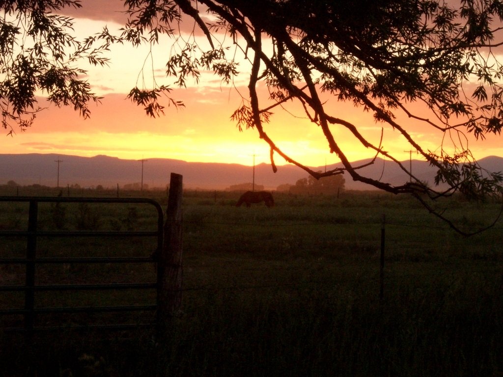 Manassa, CO: Horse & Sunset West of Peterson St.