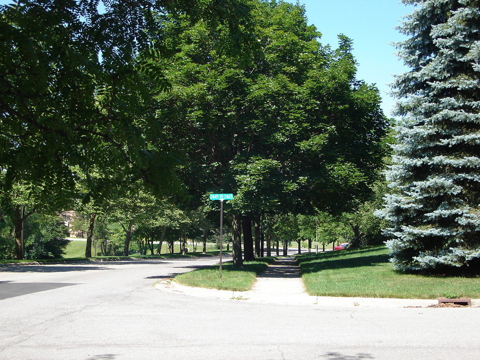Ann Arbor, MI: tree-lined streets