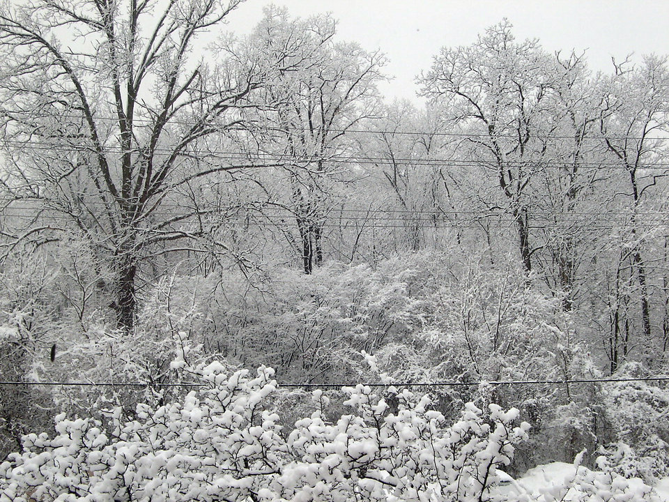 Ann Arbor, MI: Winter window view