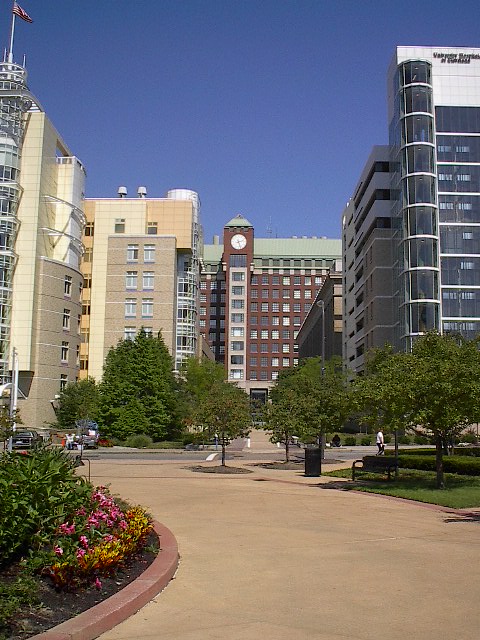 Cleveland Oh Case Western Campus Photo Picture Image Ohio At