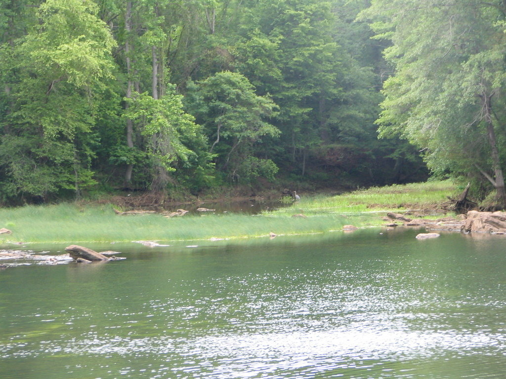Cartersville, GA: etowah river