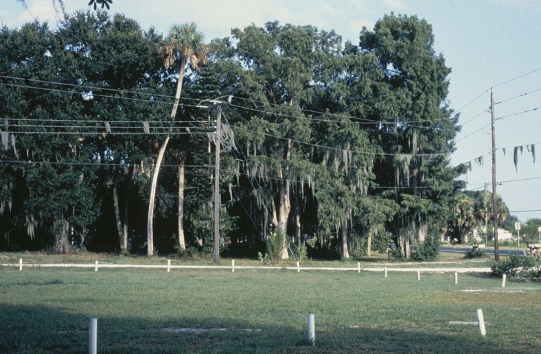 Okeechobee, FL: Okeechobee, Florida