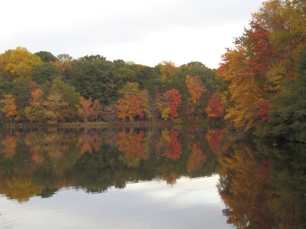 Greenbelt, MD: Greenbelt lake during the fall season