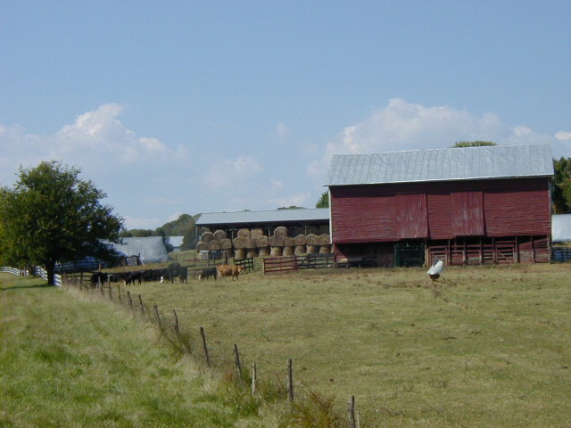 Weyers Cave, VA: Farms are Everywhere!