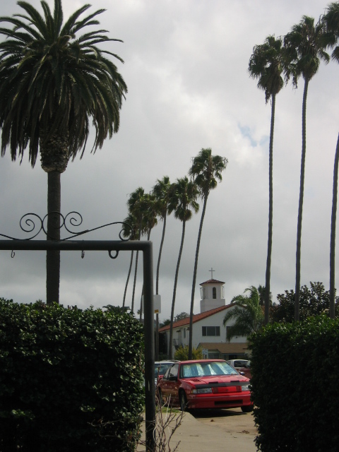 San Diego, CA: Palms over Ocean Beach