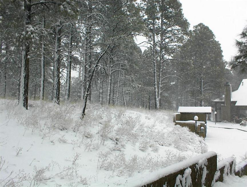 Flagstaff, AZ: a brief snow in march