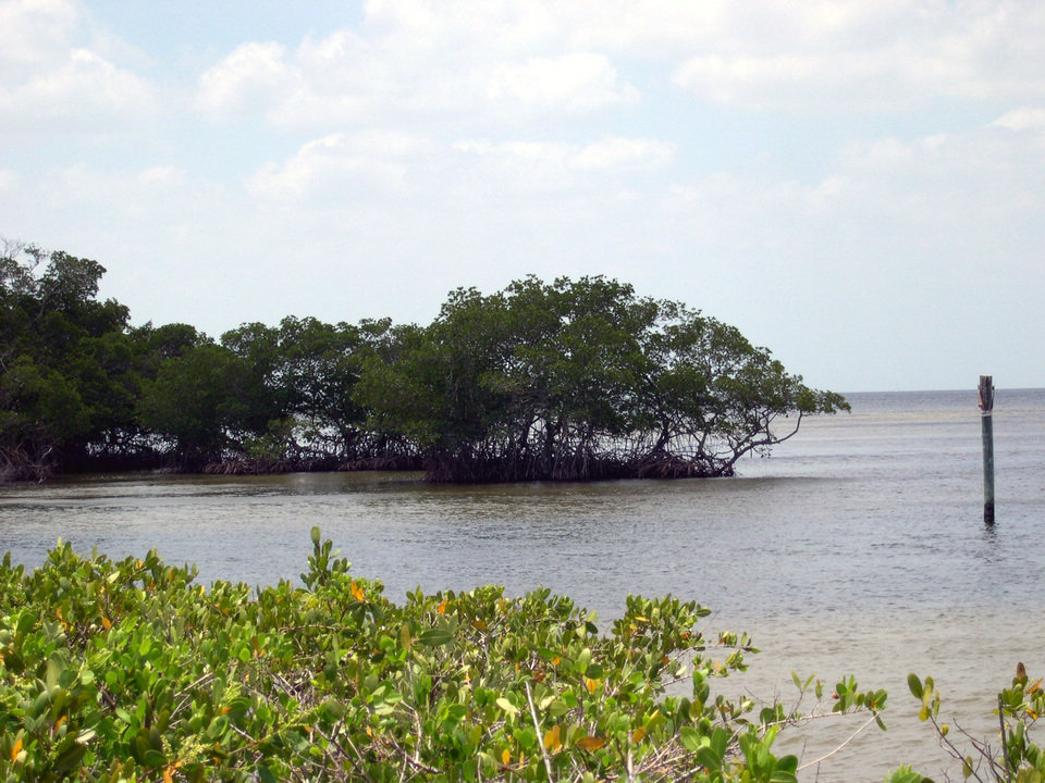 Punta Gorda, FL: Ponce De Leon Park, Punta Gorda, Fl