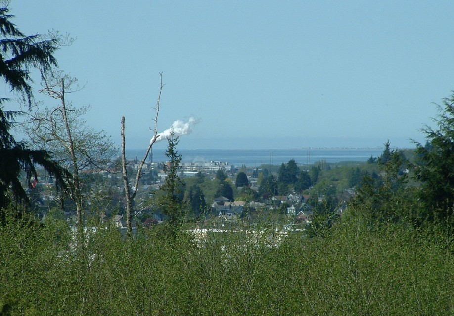 Aberdeen, WA: Grays Harbor From Think Of Me Hill