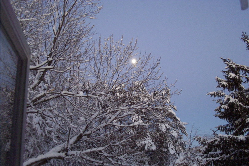 Antigo, WI First Snowfall 11/05 photo, picture, image (Wisconsin) at