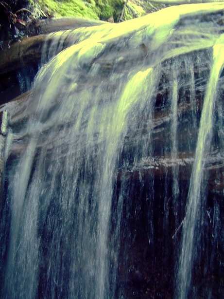 Everett, WA: waterfall at howarth park stream
