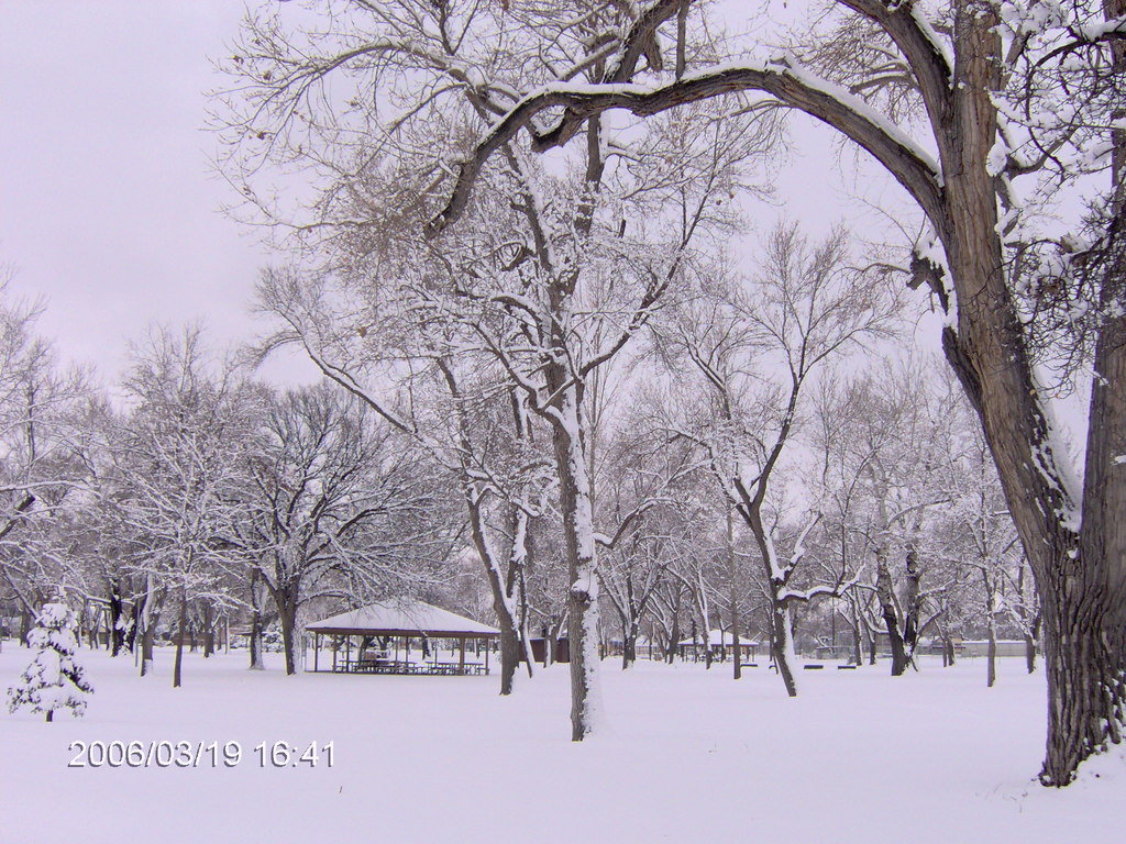 Billings, MT: Snow in the park