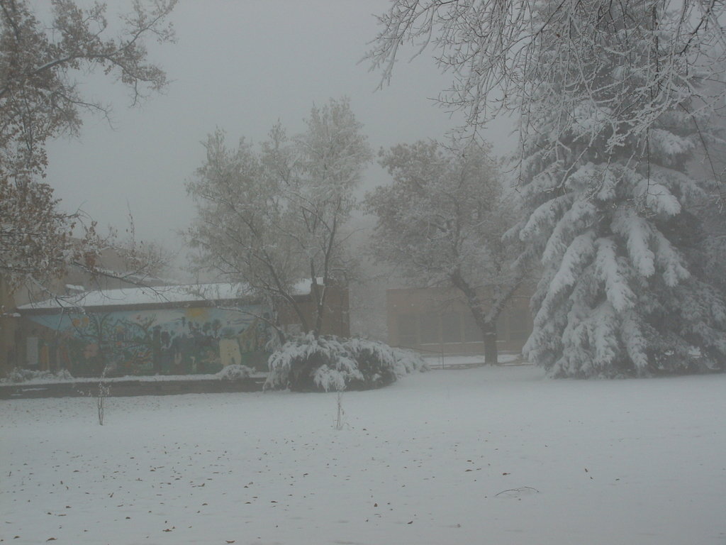 La Veta, CO La Veta City Park in Winter photo, picture, image