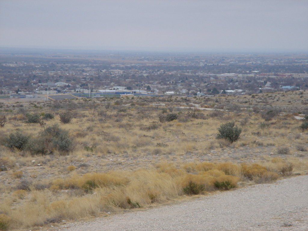 Carlsbad NM : Carlsbad from C hill photo picture image (New Mexico
