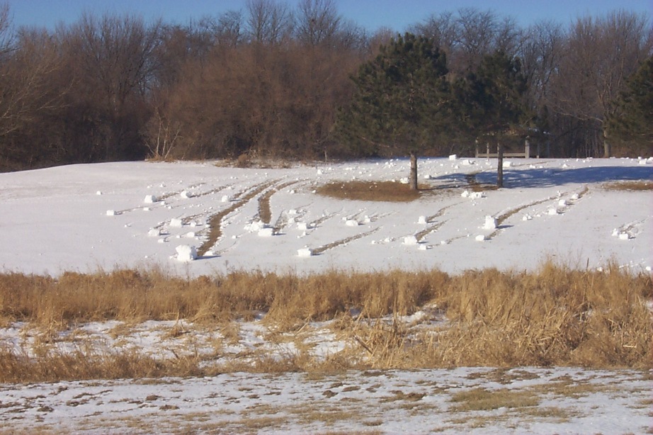 Ashland, IL: Snowrollers (formed by high wind and light snow)