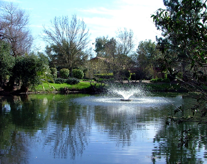 Temelec, CA: Temelec Pond