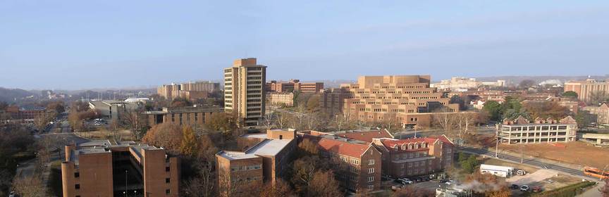 Knoxville, TN: View from Stadium UT campus