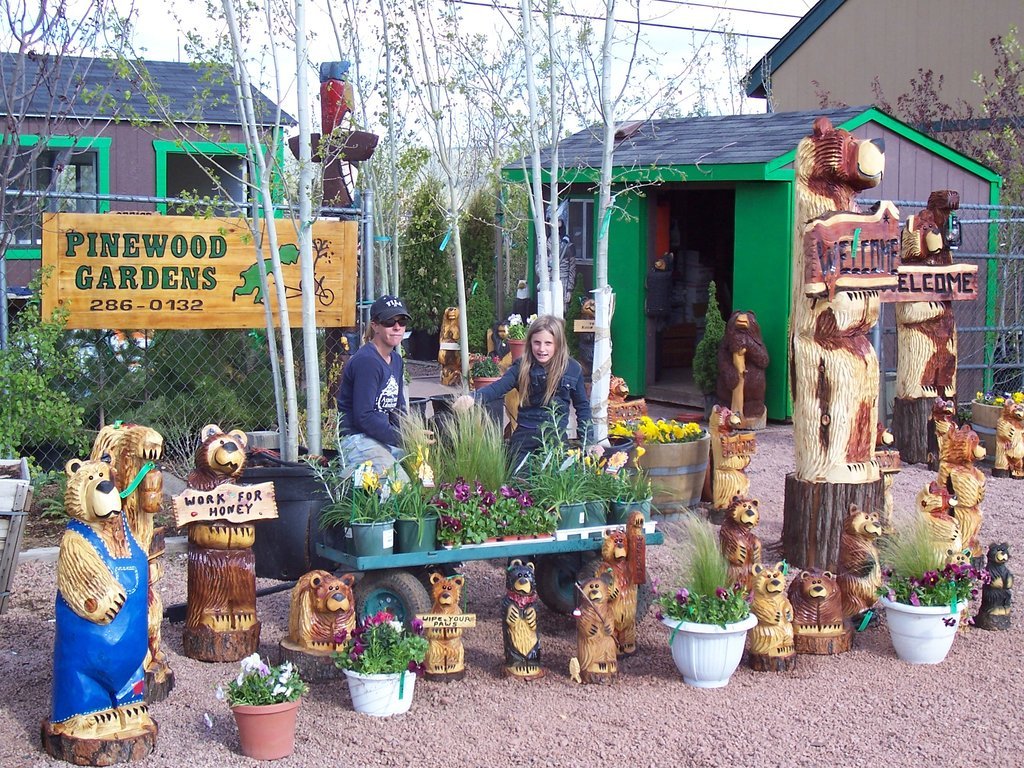 Munds Park, AZ The nursery in Munds Park photo, picture, image