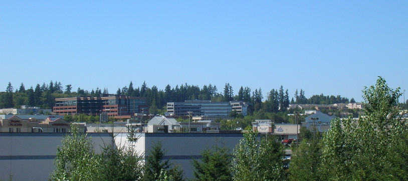 Lynnwood, WA: A view of Lynnwood from the Spaghetti Factory parking lot.