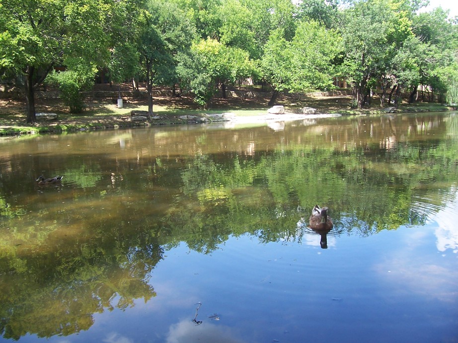 Round Rock, TX: Brushy Creek in Round Rock Memorial Park