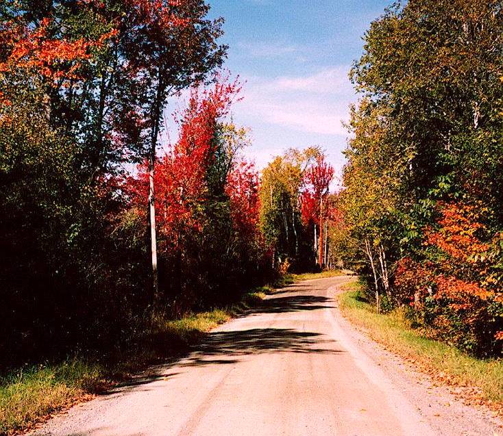 Milo, ME: Sargent Hill Drive showing Autumn foliage
