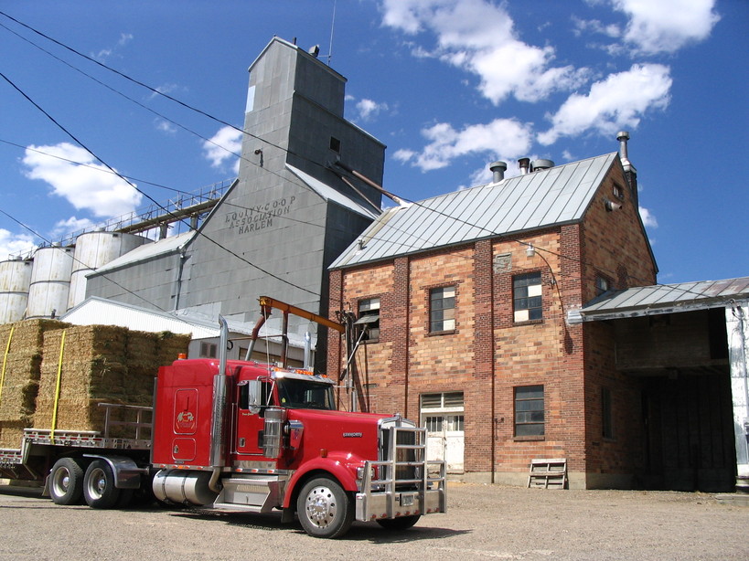 Harlem, MT: grain elevators