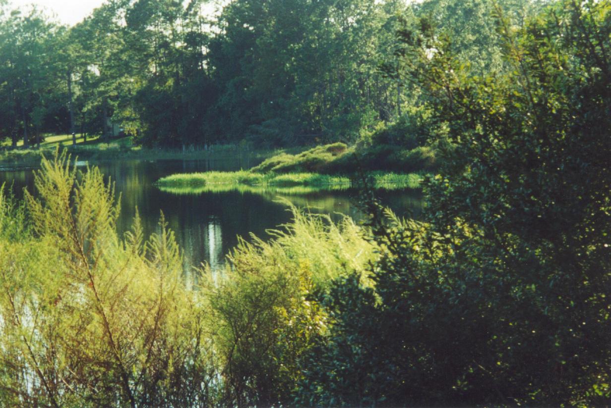 Paisley, FL: On Silver Lake