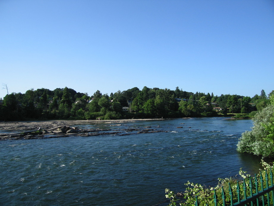 Springfield, OR: Willamette River at Springfield OR