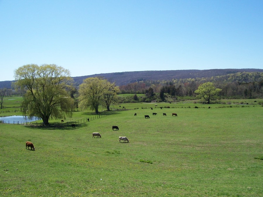 Dover Plains, NY: View of Webatuck Valley from Sand Hill, Dover Plains NY