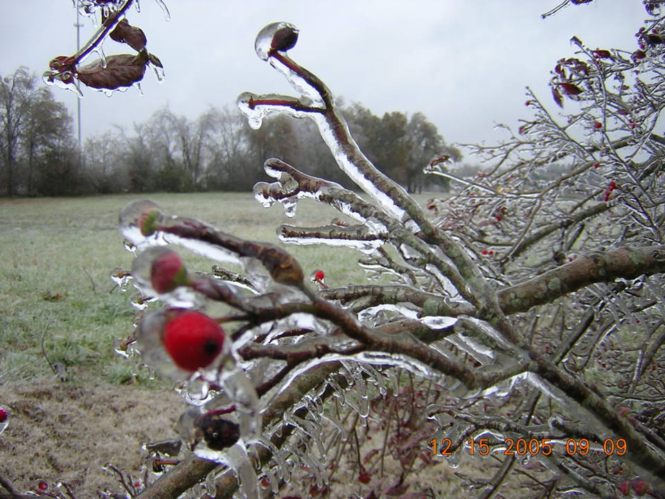 Gaffney, SC: Bad Ice Storm Late 2005