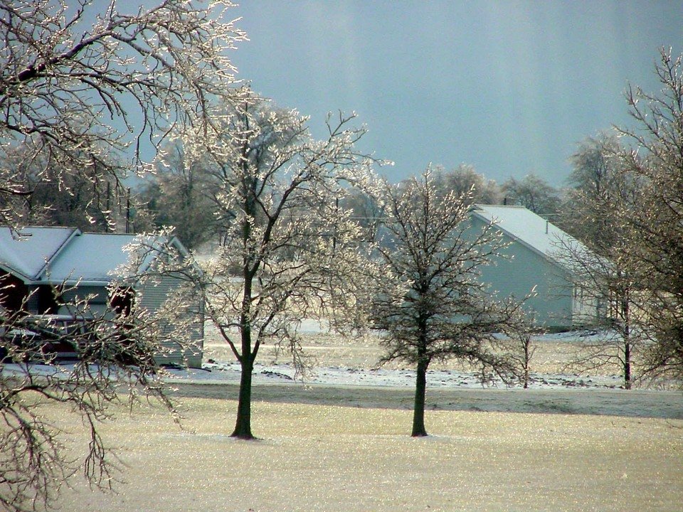 Decatur, IN: These are the trees in front of Thunderbird Products - beautiful!