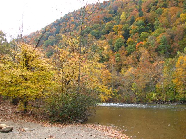 Erwin, TN: Fall colors by the Nolichucky River