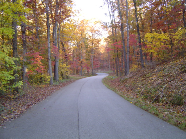Rogers, AR: Fall colors on Ozark Ridge Drive in Rogers, Arkansas
