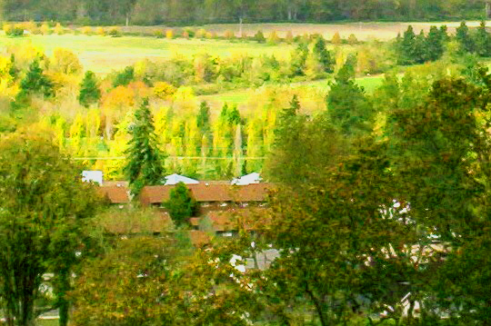 Salem, OR: Hilltop view of Minto Brown Island Park