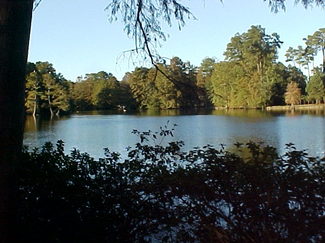 Sumter, SC : Swan Lake October 2005 Sumter South Carolina photo ...