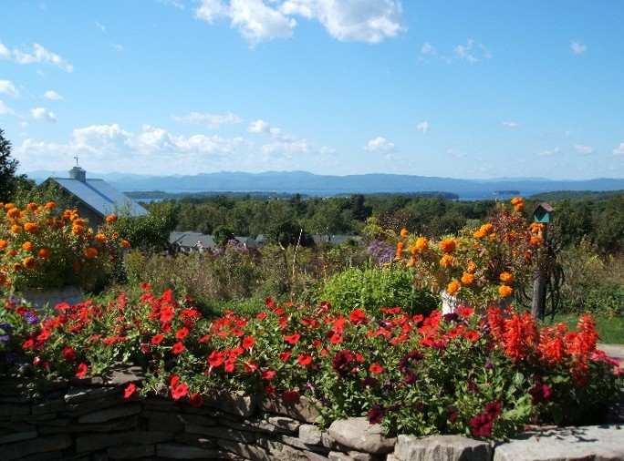 South Burlington, VT: Backyard flowers from www.1475spear.com