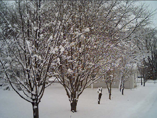 Crofton, NE: april snow