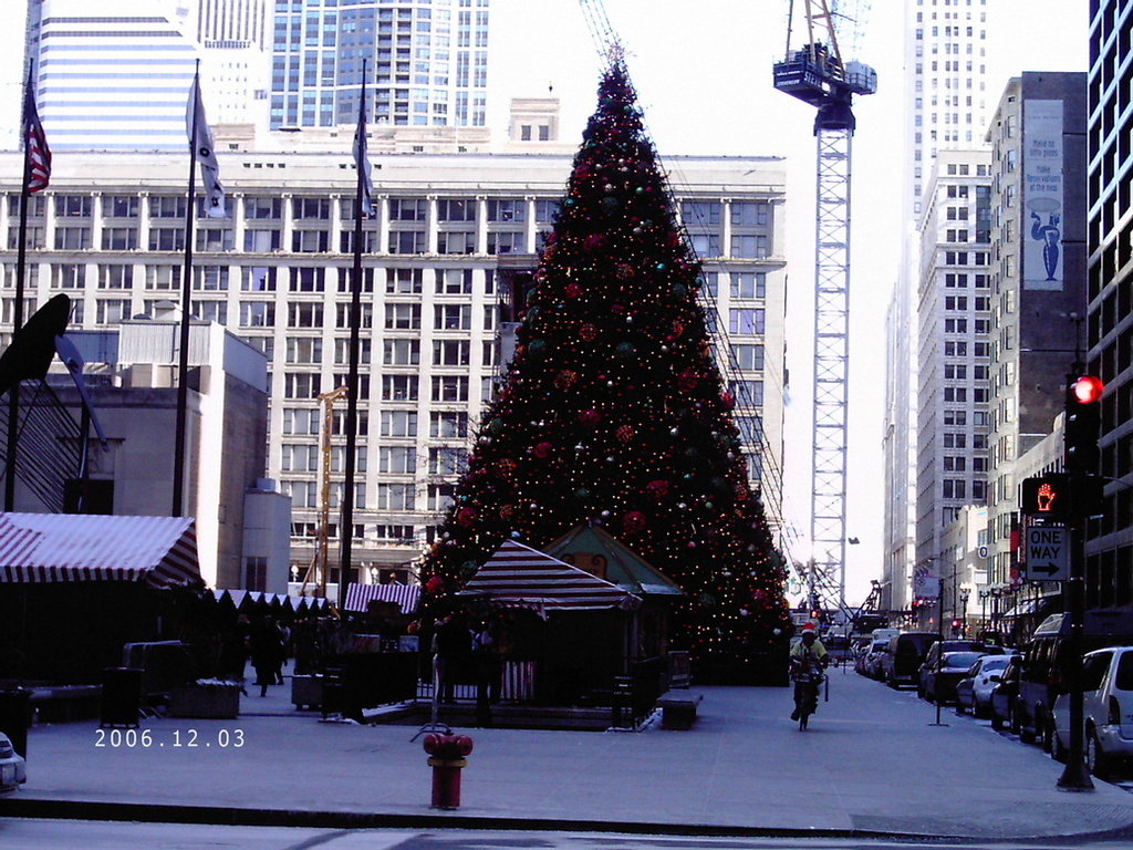 Chicago, IL: Tree at the 2006 Christkindle Market December 3