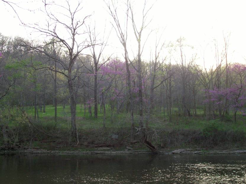 Nixa, MO: green grass, purple trees and running stream
