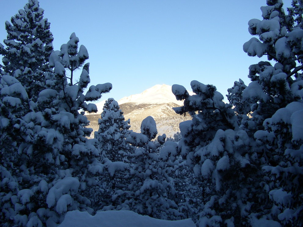 Allenspark, CO: View of Mt. Meeker from forest cabin