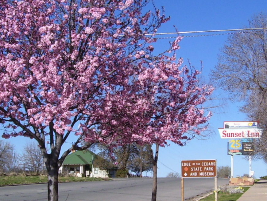 Blanding, UT: A Cherry sight, a fine place to stay and a fine place to go.
