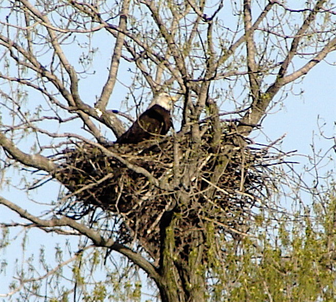 Prophetstown, IL