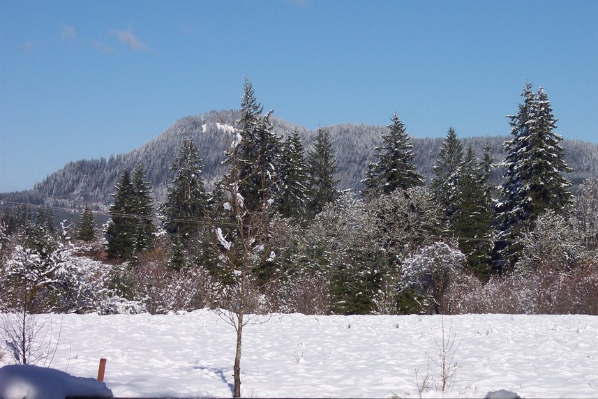 , OR Spirit Mountain in Grand Ronde Oregon photo, picture, image