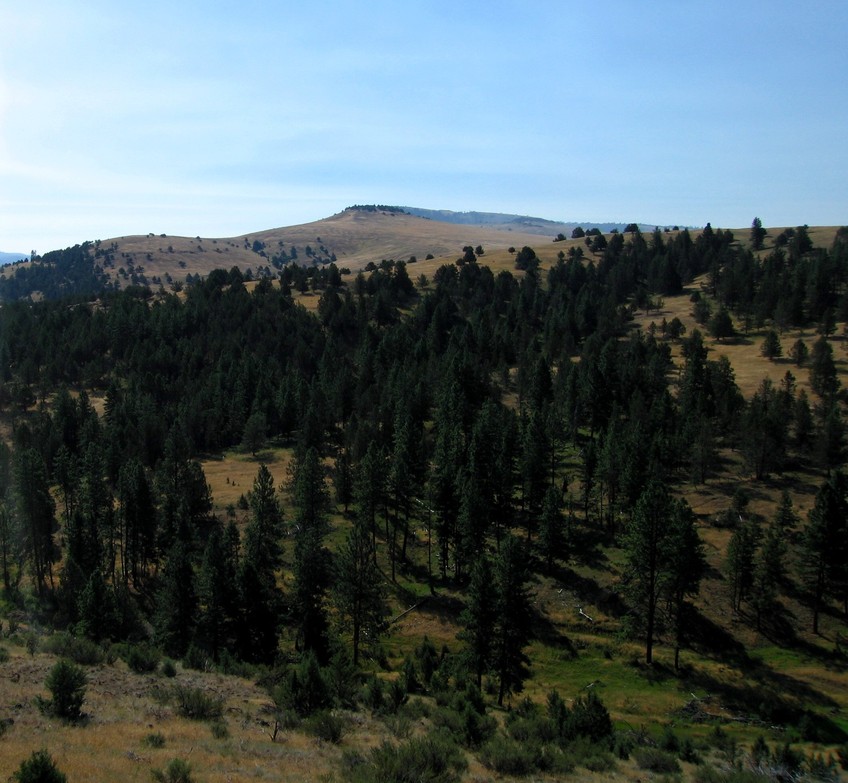 Long Creek, OR Hills south of town..... photo, picture, image (Oregon) at