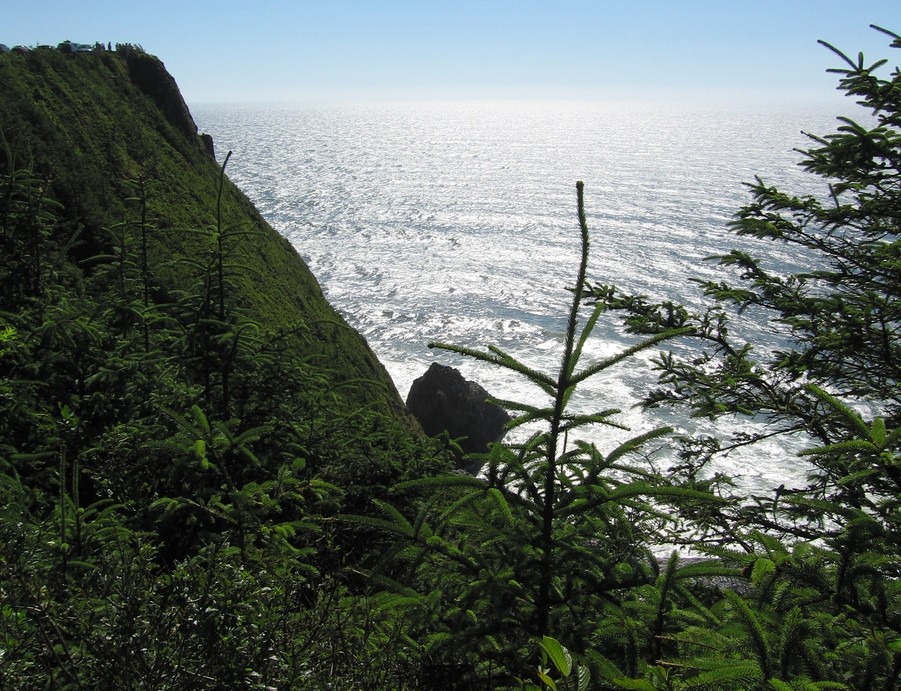 Florence, OR: Cliffs over the Pacific...