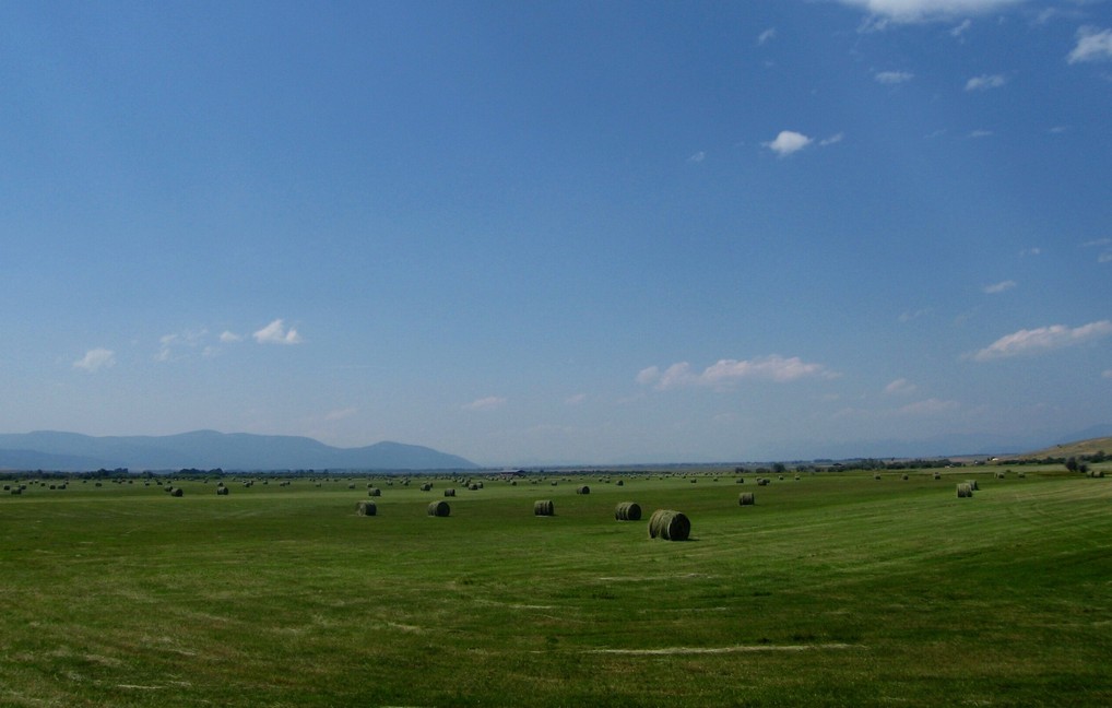 Drummond, MT Hayrolls near Drummond... photo, picture, image (Montana